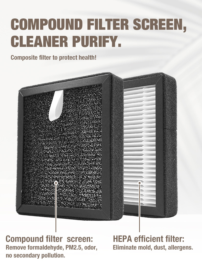 Proveedor de purificadores de aire OLANSI A1 (11)