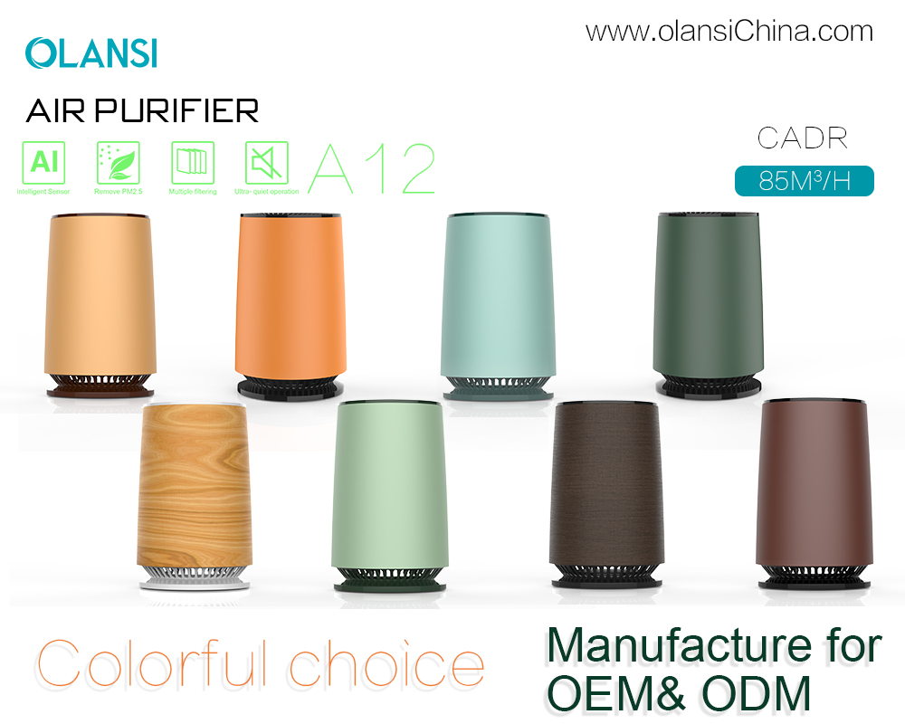 Proveedores de purificador de aire de Olansi (15)