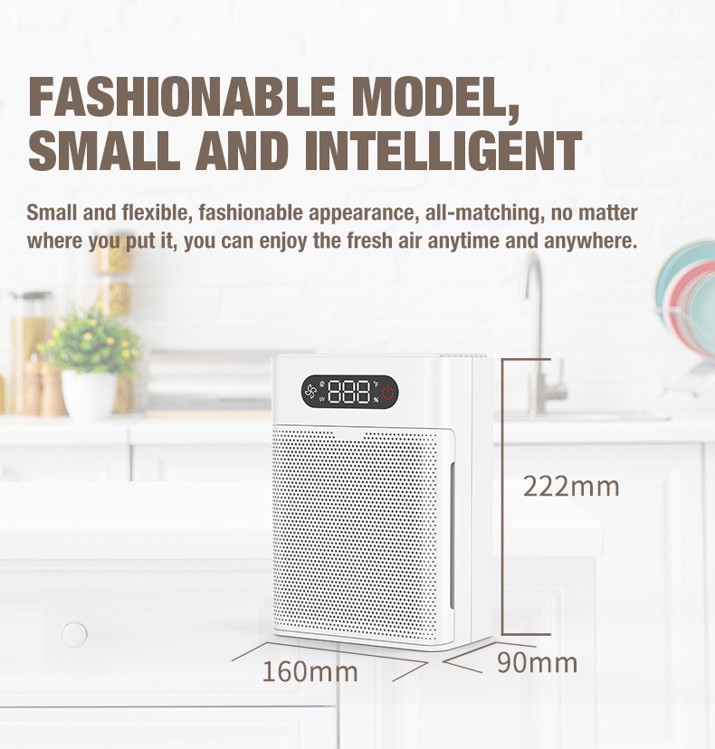 Proveedor de purificadores de aire OLANSI A1 (3)